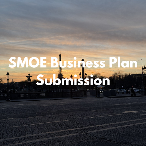 SMOE Business Plan Submission