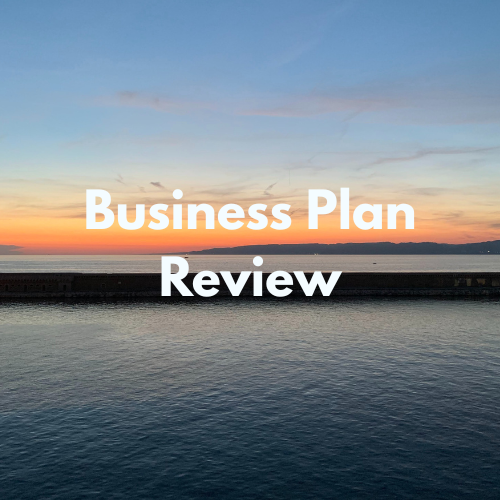 Business Plan Review