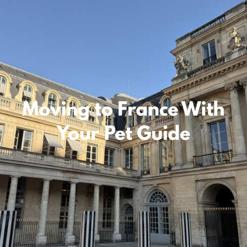 Moving to France With Your Pet Guide